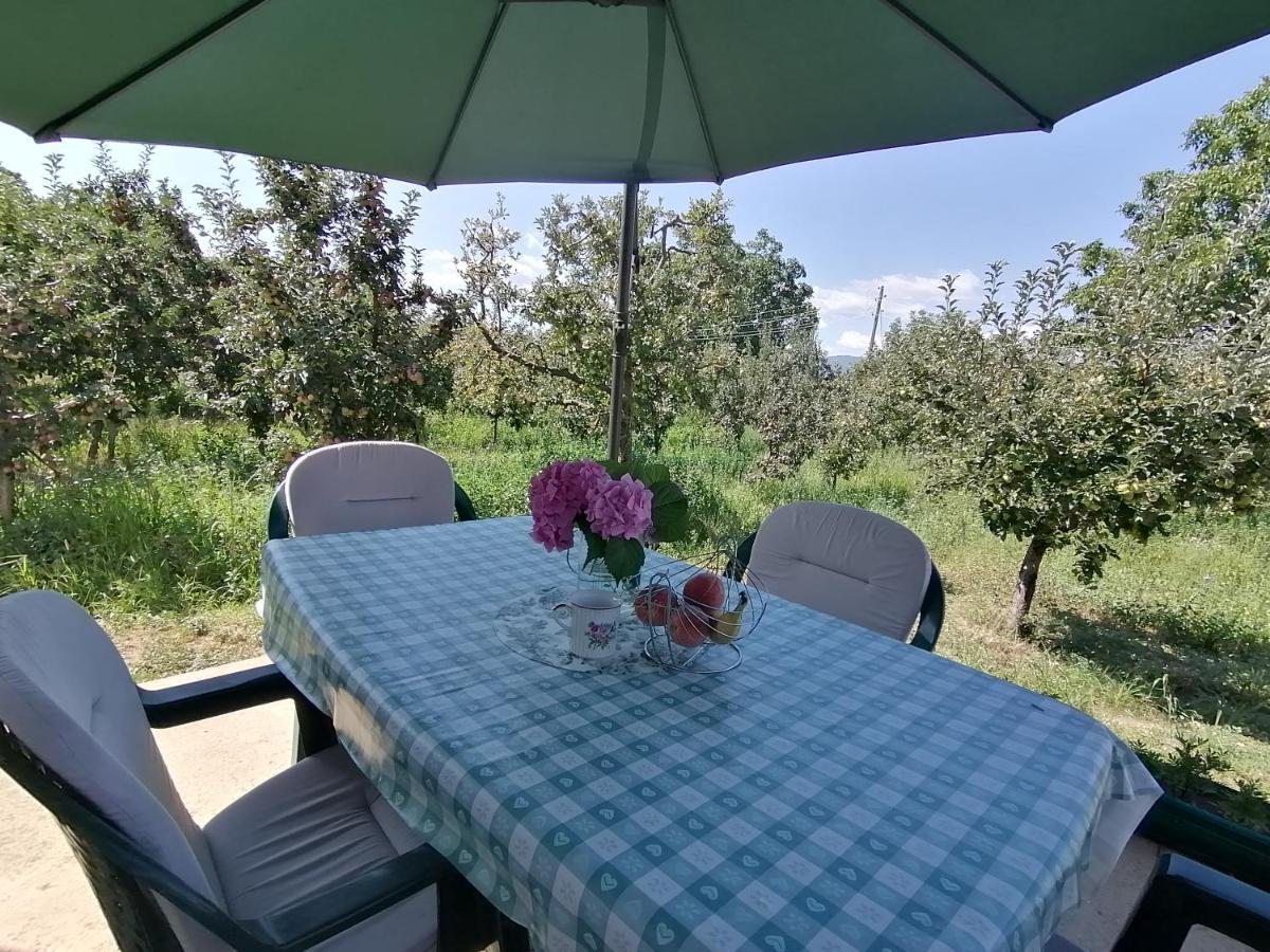 Villa Lila Dolno Dupeni Exterior foto
